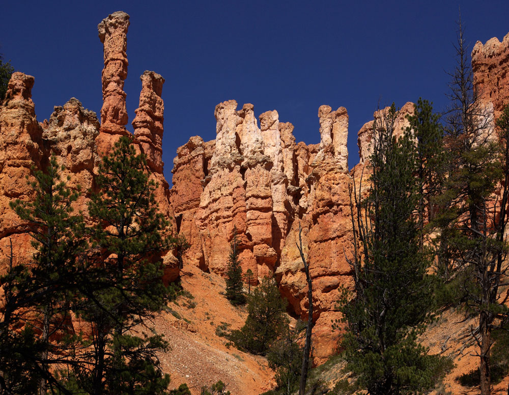 Hhere Pinnckels im Bryce Canyon