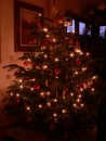 Mein Weihnachtsbaum