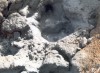 Thumbs/tn_178Namaskard.jpg