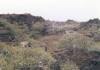 Thumbs/tn_199Dimmuborgir.jpg