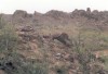 Thumbs/tn_203Dimmuborgir.jpg