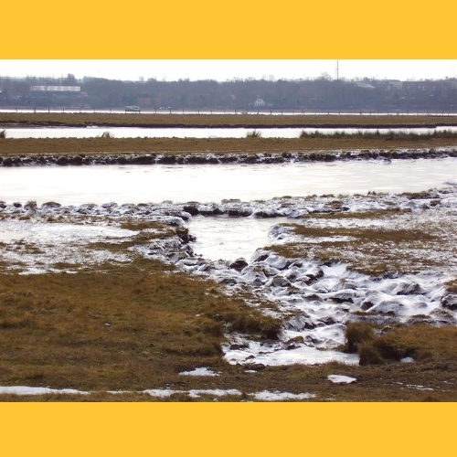 Alles ist im Eis erstarrt.