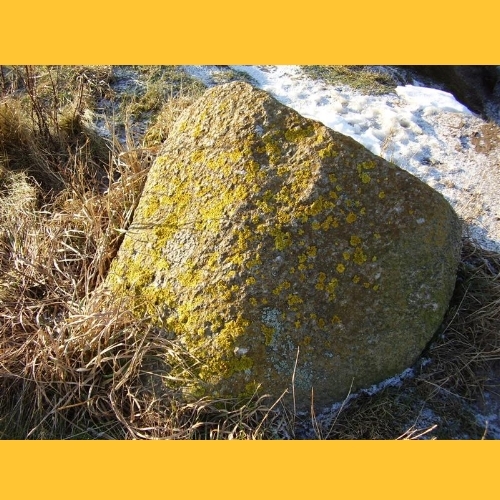 ...die Steine sind mit Flechten bewachsen.