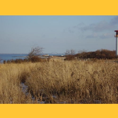 Im Hintergrund: Die Fehmarnsundbr�cke