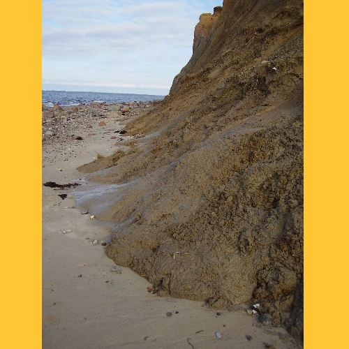 Tauwetter: �berall an der Steilk�ste br�selt es. Teilweise flie�t der lehmige Boden geradezu auf den Strand.
