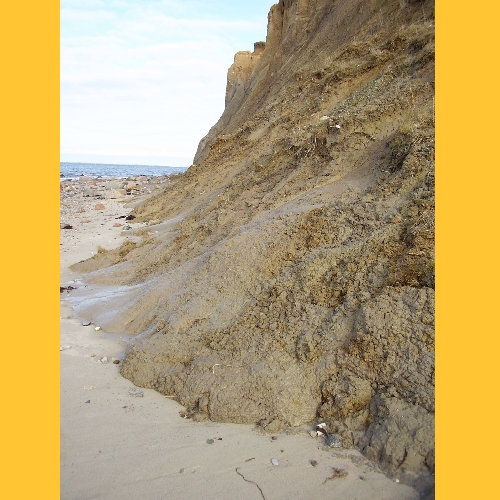 Tauwetter: �berall an der Steilk�ste br�selt es. Teilweise flie�t der lehmige Boden geradezu auf den Strand.