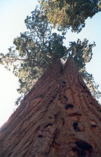 ../Images/012.Yosemite.jpg