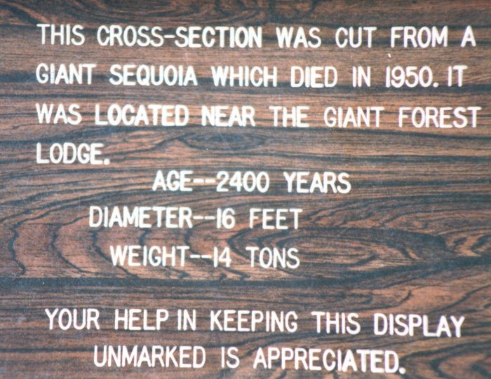 ../Images/040.GiantSequoia.jpg