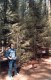 Thumbs/tn_038.GiantSequoia.jpg