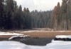 Thumbs/tn_049.GiantSequoia.jpg