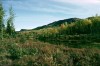 Thumbs/tn_060yukon.jpg