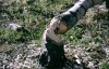 Thumbs/tn_142Bieberspuren.jpg