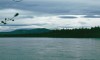 Thumbs/tn_148Minto-FtSelkirk.jpg