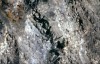 Thumbs/tn_157Weisskopfseeadler.jpg