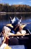 Thumbs/tn_179CoffeeCreek-ThistleCreek.jpg